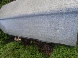 image of grave number 568590